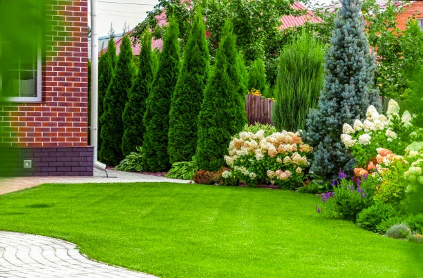 Empresa especializada em manutenção de jardim