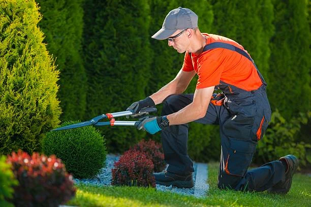 Empresa de jardinagem mais perto de mim