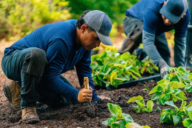Empresa de jardinagem e paisagismo na Grande São Paulo