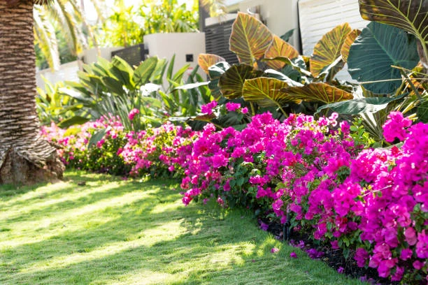 Empresa de jardinagem perto de mim
