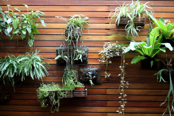 Jardim vertical para apartamento na Grande São Paulo