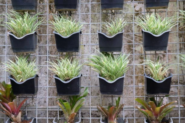 Jardim vertical para sacada de apartamento