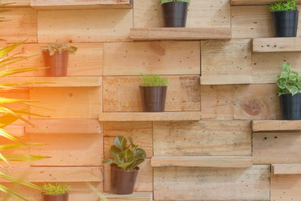 Jardim vertical para sala na Grande São Paulo