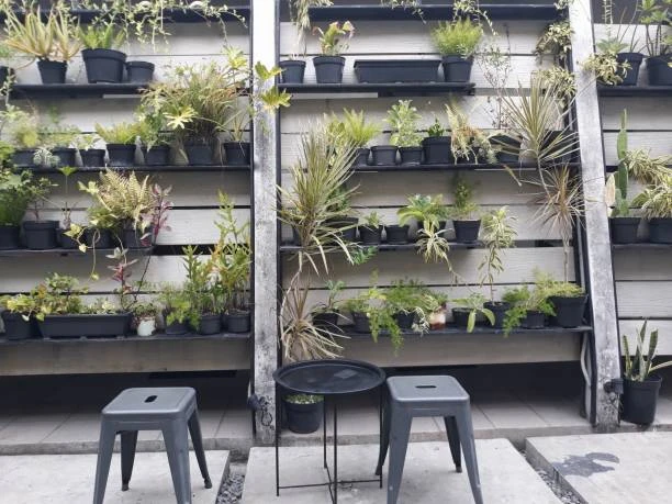 Manutenção de jardim vertical em São Paulo