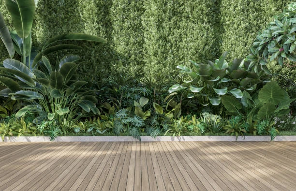 Projeto de jardinagem na Grande São Paulo