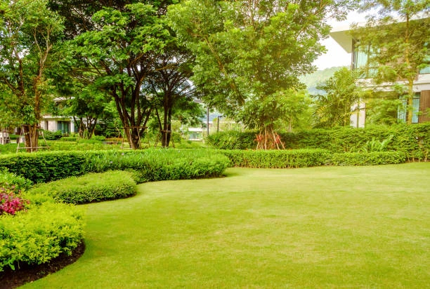 Projeto de jardins residenciais