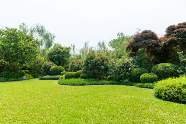 Projeto de jardins residenciais em São Paulo