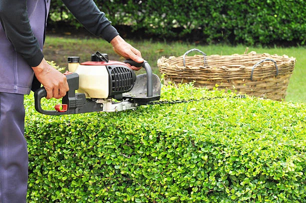 Serviço de manutenção de jardins em condomínios