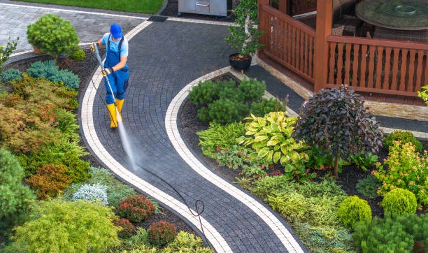 Serviços de jardinagem e paisagismo