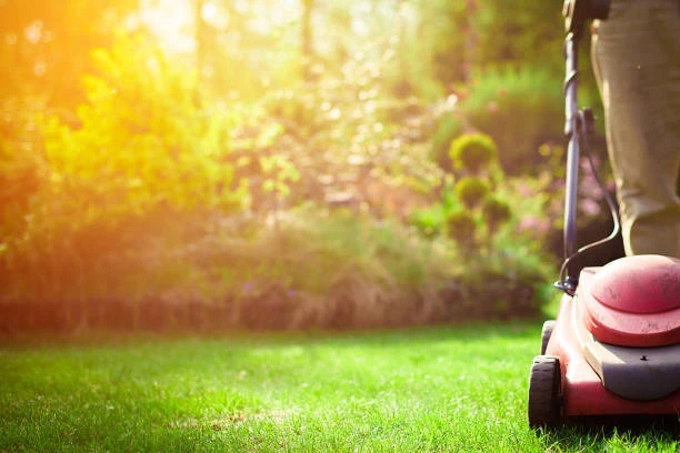 Serviços de jardinagem preço